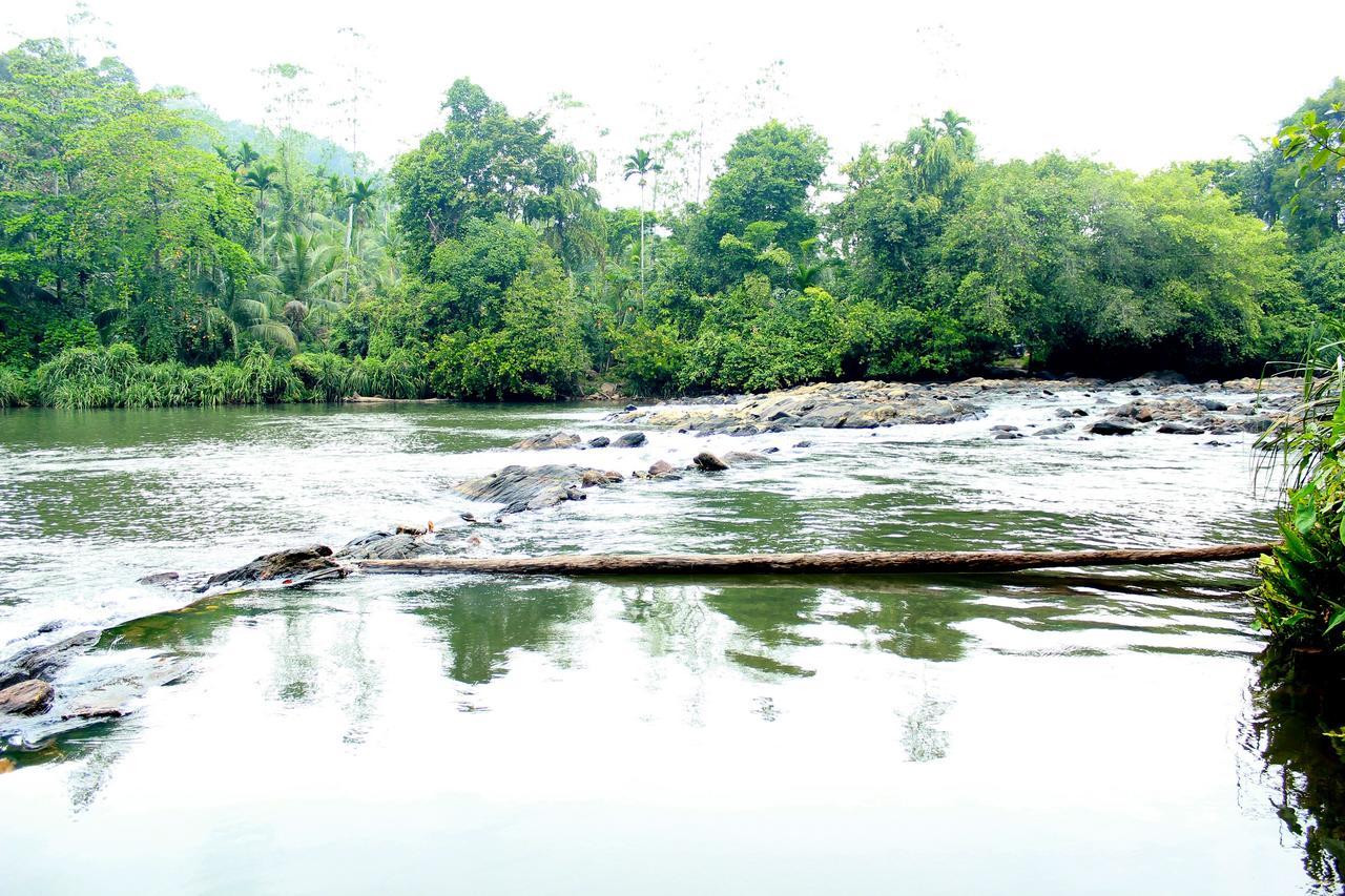 Bedda Eco * Deniyaya